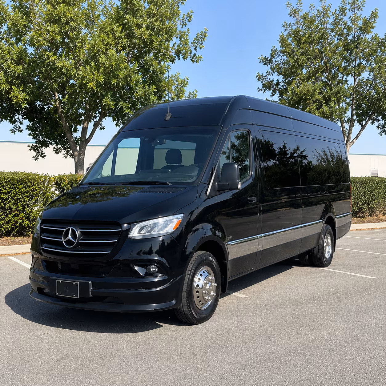 provo sprinter van with driver